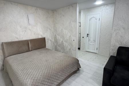 Двухкомнатная квартира в центре города