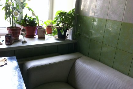 3 к квартира в центре Санкт-Петербурга