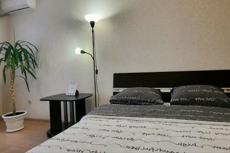 Просторная 1шка на Ленина