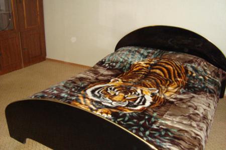 2-х комнатная квартира посуточно