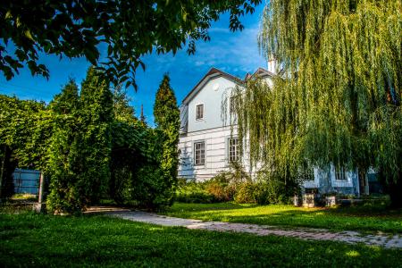 Коттедж в Репном