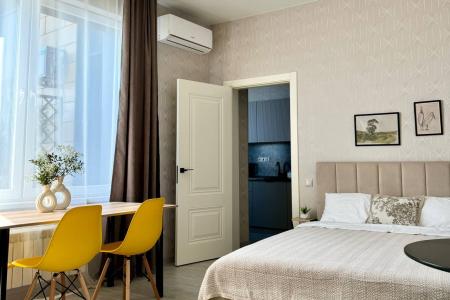 Студия с террасой