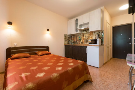 Уютная квартира-студия в новом доме