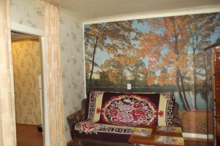 Посуточно 1 квартира. Центр