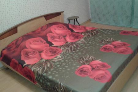 Уютная квартира на часы, сутки, недели!