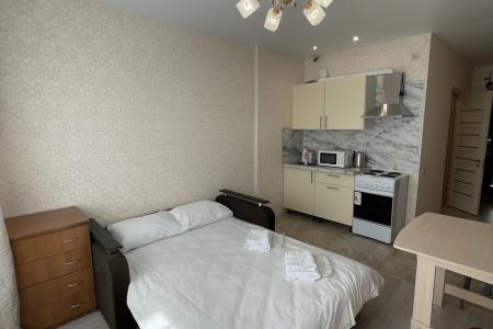 Уютные апартаменты в центре города