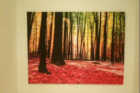 Апартаменты May