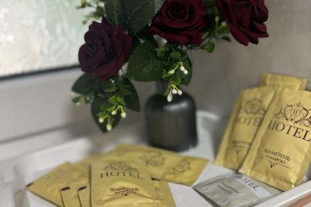 Трехкомнатная квартира Евро с двором и мангалом в Парке