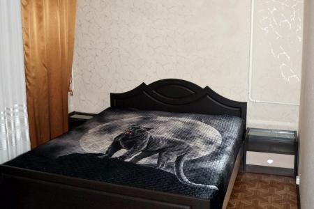 2-ком. квартира в центре Воронежа, р-он, ТЦ Поиск, ТЦ Атмосфера