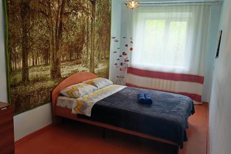 Квартира Двухкомнатные RusDom Apartments