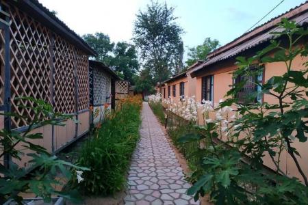 Отдельно стоящие домики на берегу моря