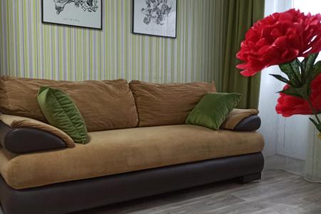 Уютная однокомнатная квартира в центре города