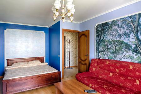 Однокомнатная квартира на пл.Революции