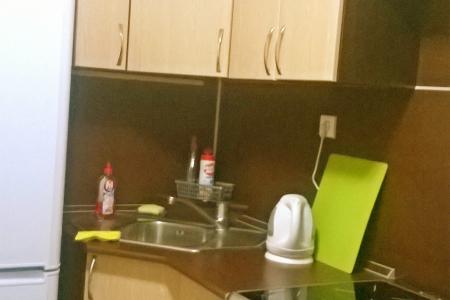 однокомнатная Парк Победы