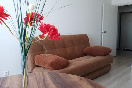 Апартамент Пионерский С3