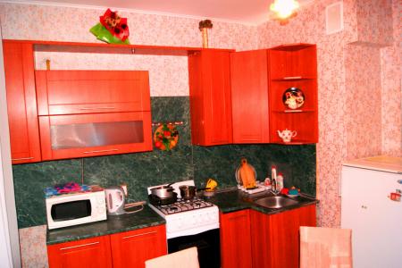 Посуточно новая, просторная 1-комнатная квартира, в новостройке