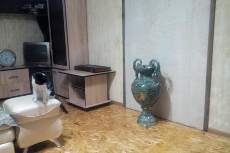 Дом в экологически чистом районе