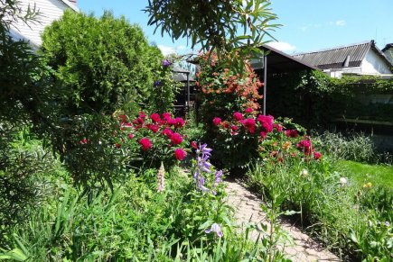 Коттедж по Ленинградскому шоссе для компании до 25 человек