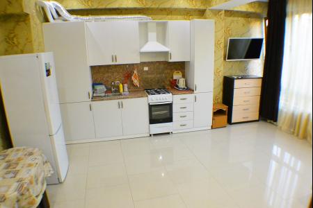 Студия для 3х гостей. Еще варианты на Domstop.ru