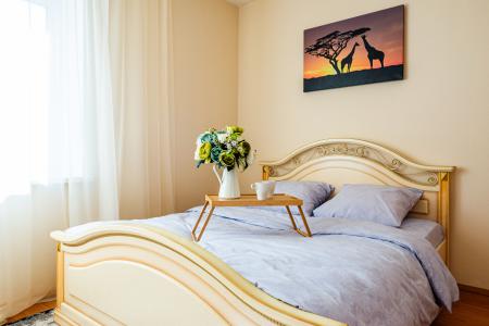 2-комнатная квартира около Екатеринбург-Арена