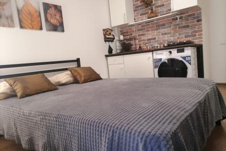 Уютная студия на берегу Финского залива! Центр рядом!