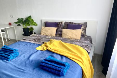 Видовая студия в Новом ЖК Балашихи