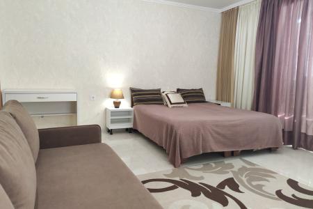 видовая современная квартира