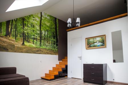 Двухуровневая-однокомнатная квартира