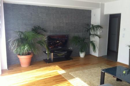 Двухкомнатная квартира возле Цирка