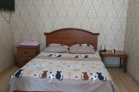 Однушка в центре