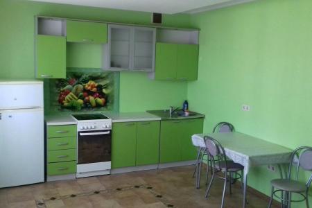 В шаговой доступности от квартиры находятся несколько торговых центров Ашан,Кристалл,Солнечный