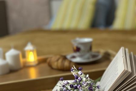 Просторная квартира на Желябова