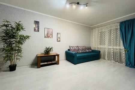 Двушка в центре с видом на Поганкины палаты