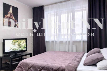 DaiIyRent-NN Апартаменты в Нижнем Новгороде