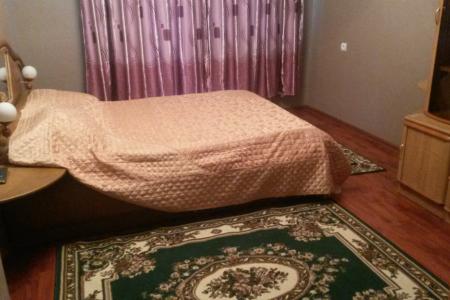 однокомнатная квартира в центральном районе