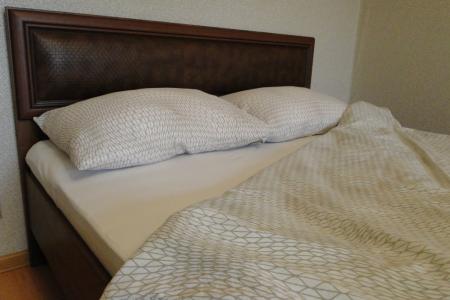 Однокомнатная квартира в центре на Репина