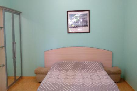 Однокомнатная в центре c двором