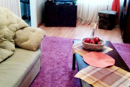 1-комнатная Комфортабельная квартира в Центре