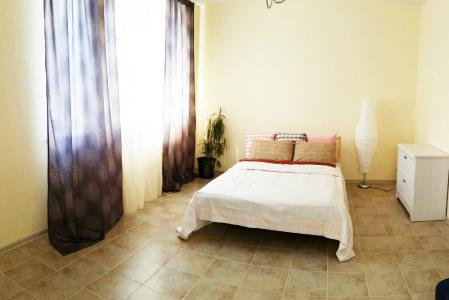 Апартаменты бизнес класса около аэропорта Шереметьево