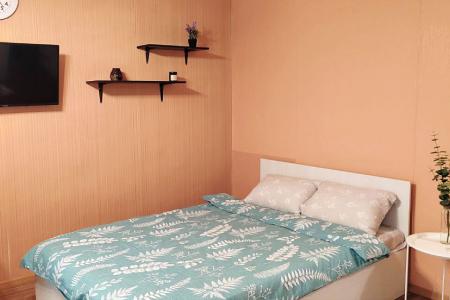 Однокомнатная квартира в Иркутске на Байкальской