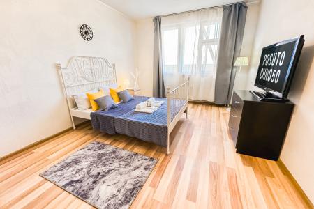 Отчетные документы, просторная однушка