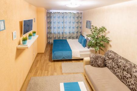 Однокомнатная квартира на Куйбышева, 69