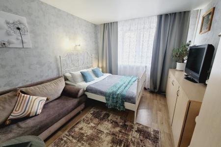 Светлая студия в центре Засвияжского района