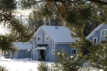 Добро пожаловать на базу отдыха "Мелодия Леса"!