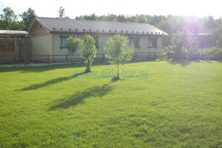 Домик на поляне