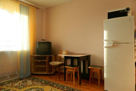 1 комн.квартира ул. Пичугина, 6 Воробьевы горы от 800р