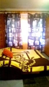 Двухкомнатная квартира рядом с СКК и парками