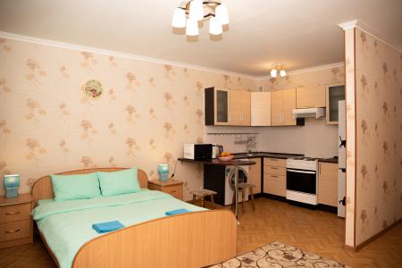 Квартира-студия в центре города.