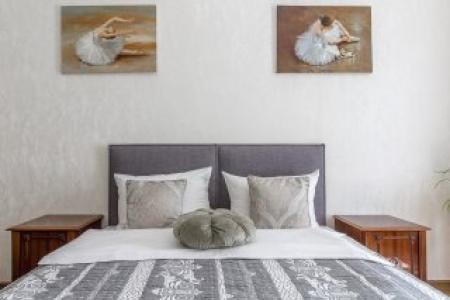 Аппартаменты на Большой Монетной