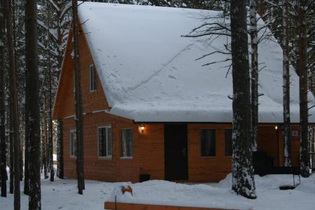 Коттеджи на базе отдыха "Пруд Лесной"